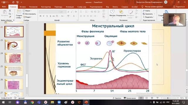 Лекция. Женская половая система Ч.4 30.11.2021