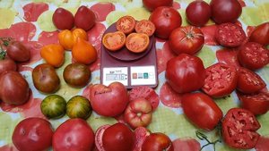 Дегустация №13 . Ярсоны !