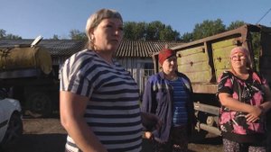 С фермы в деревне Костеньки, Назаровского района, вывезли всех коров