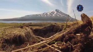 остров Матуа.Японские блиндажи ,окопы .Сохранившийся в первозданном виде со времен второй мировой
