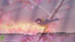 Эту музыку можно слушать вечно! Лучшая музыка Сергей Грищук! Прекрасные лебеди!