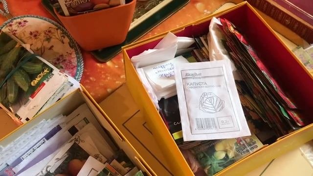 Подготовка к посадочному сезону / закупка семян / семян море / разговор о семенах