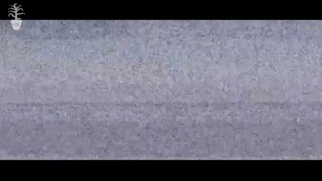 С Днем Рождения Алёна! смотреть онлайн