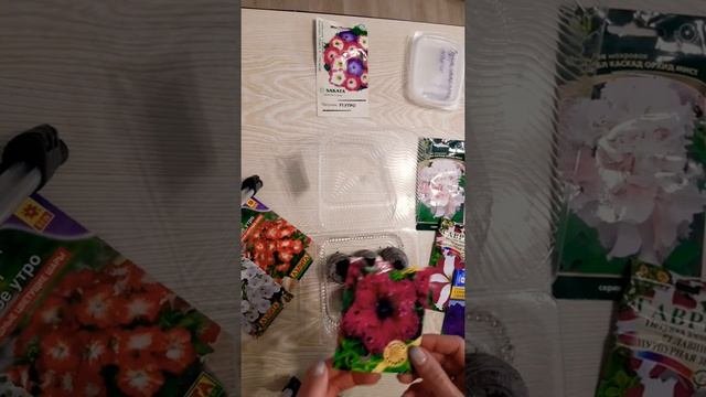 КАК посеять ПЕТУНИЮ?! ЧАСТЬ 2