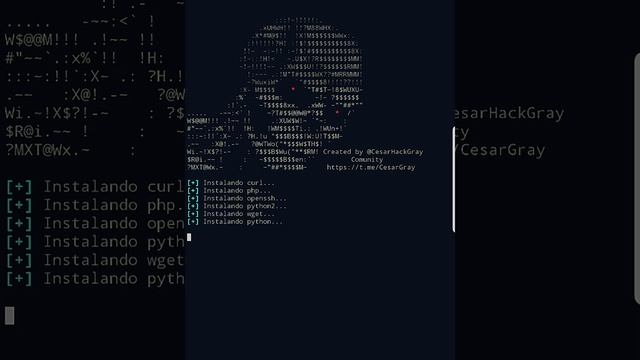 termux hacking pkg install python python2 python3-m pip