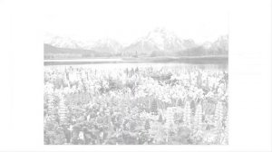 #МОО  "Единство"  Аудиокомпозиция  на  музыку  Сергея Лазара