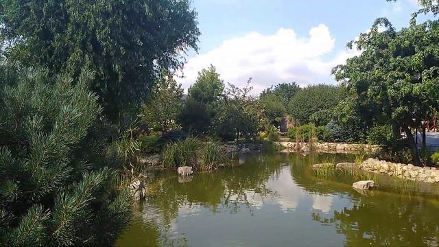 парк квітів Камелія смотреть онлайн