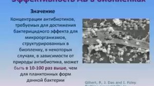 Сезонные обострения ХОБЛ
