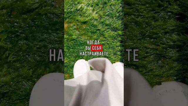 Мысль дня - #shorts #цитата #принятие #psychology #проявленность #энергоментор #мыразные #мысль