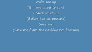 Evanescence Bring Me To Life with Lyrics