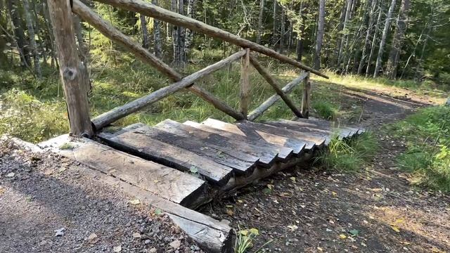 Экомаршрут Монрепо в Выборге. Видеопрогулка по лесной части музея - заповедника