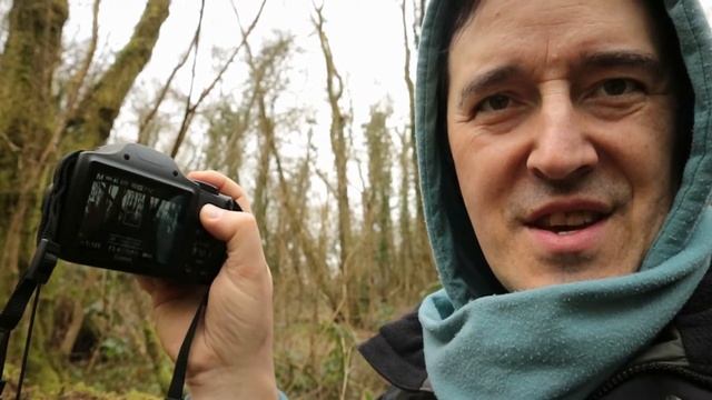 Canon PowerShot SX540 HS Full Test is made смотреть онлайн