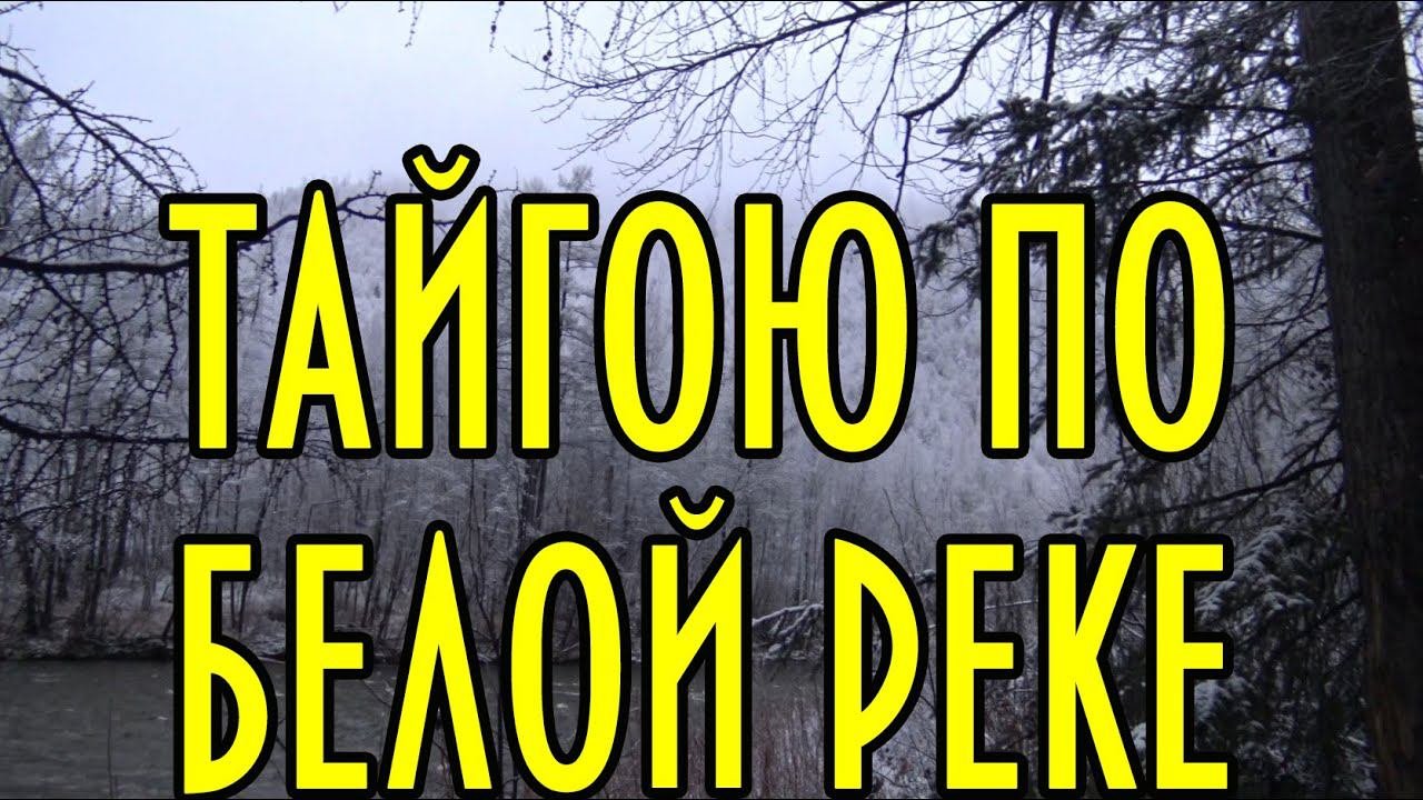 Тайгою по белой реке, внезапный снег, таежное зимовье, островной лес. Угодья, часть 3