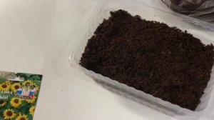 САНВИТАЛИЯ! СРОЧНО САДИМ!
