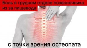 Боль в грудном отделе позвоночника, из за пищевода, с точки зрения остеопата. #остеопатия  #москва