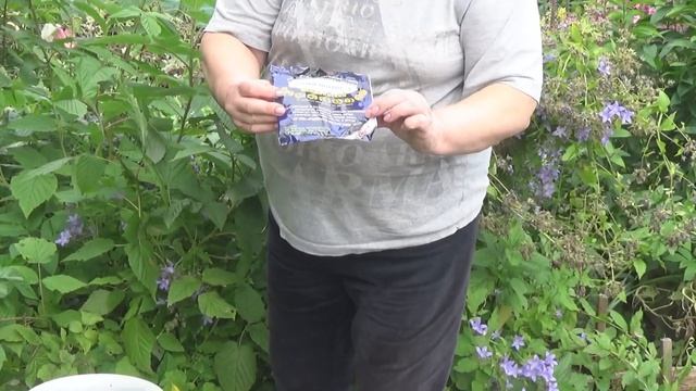 Малина осенью Чем обработать от болезней смотреть онлайн