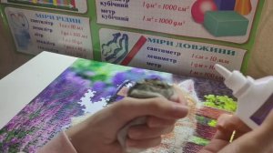 Закис глазик у хомячка?. Что делать?