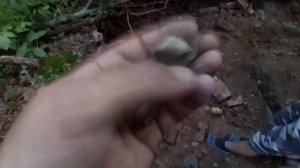 Ищем золото барина, шурфим   барский дом