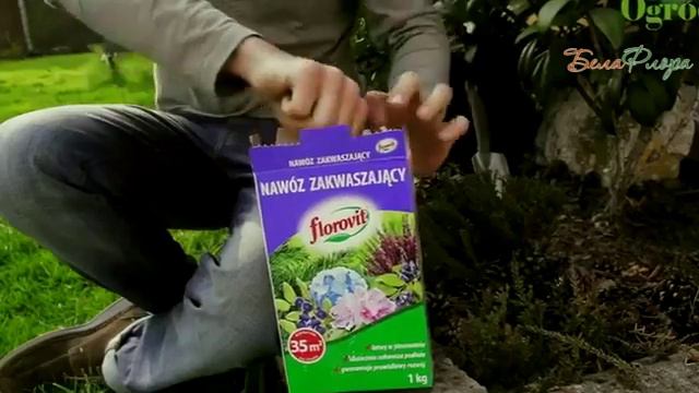 Выращивание кислолюбивых растений