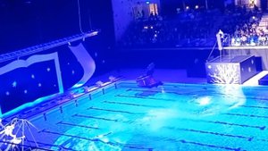 Дворец водных видов спорта в Екатеринбурге.