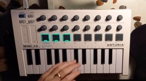 Blue (Da Ba Dee) - Eiffel 65 | Arturia Minilab MK2 - Ableton Looping Cover