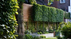 ЖИВОЙ ЗАБОР ОТ СОСЕДЕЙ/ЗАБОР  ИЗГОРОДЬ НА УЧАСТКЕ И ДАЧЕ/ LIVE FENCE FROM NEIGHBORS ON THE PLOT