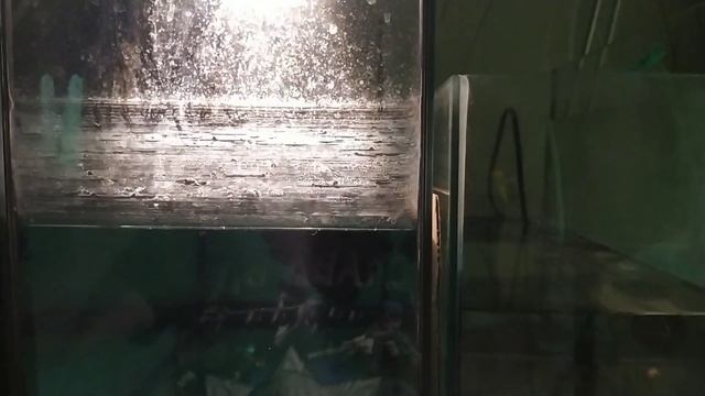 Личинка огненного барбуса.Отмываю аквариум от жестокого налета смотреть онлайн