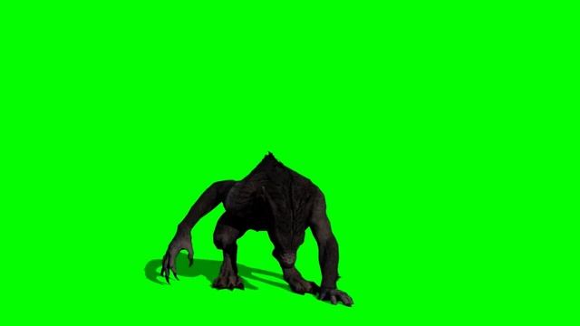 Wolf Green screen effect смотреть онлайн