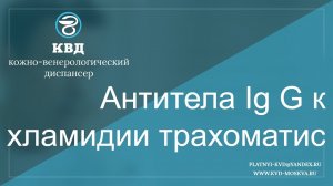 Антитела Ig G к хламидии трахоматис