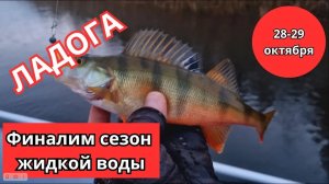 #50 #микроджиг  Закрываем сезон жидкой воды на Ладоге. Часть 2