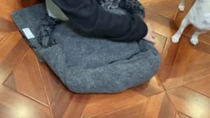 Лежанка для собак БЕЗ ШИТЬЯ своими руками