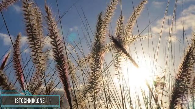 Ключевые слова для воодушевления на пути Близнецовых Пламён