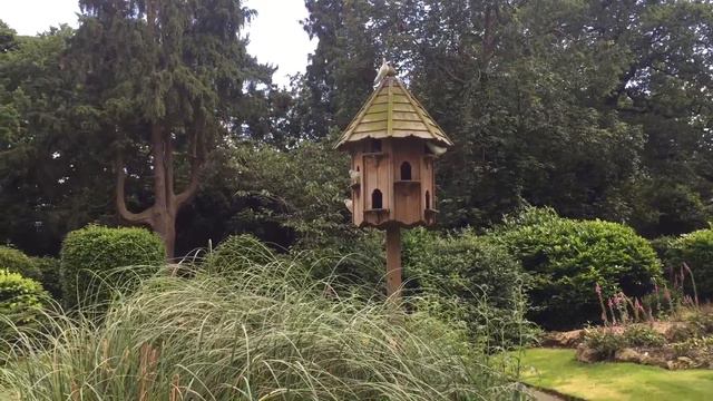 White Doves flying to Dovecote