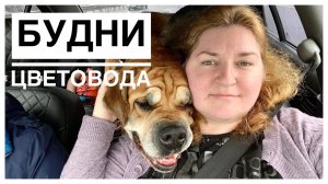 Посылка с новинками _ Дача _ Развод мостов _ Будни цветовода _ 17-18.06.2022г..mp4