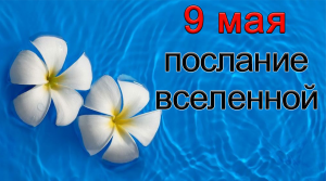 ПОСЛАНИЕ ВСЕЛЕННОЙ на 9 мая.