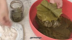 Виноградные листья на зиму супер рецепт