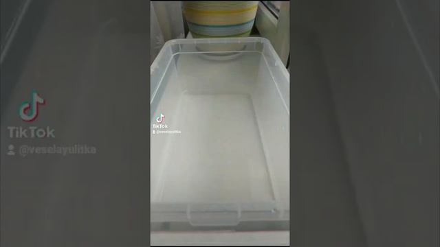 ЛУЧШИЕ ТИК ТОКИ 2021 || ЗАБАВНЫЕ УЛИТКИ АХАТИНЫ || УЛИТКИШОУ смотреть онлайн