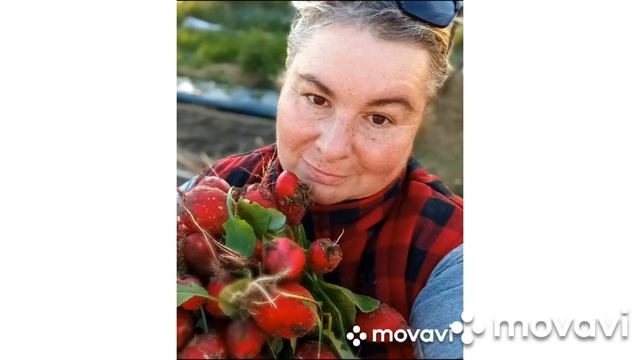 ВНИМАНИЕ!!! АКЦИЯ НА ПРОФИ РЕДИСА // ВАЦАП ДЛЯ ЗАКАЗА 8-915-245-81-59 смотреть онлайн