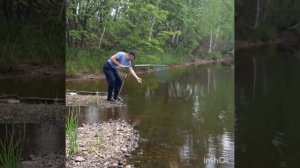 Секреты ловли ЗМЕЕГОЛОВА! Secrets of snakehead fishing!