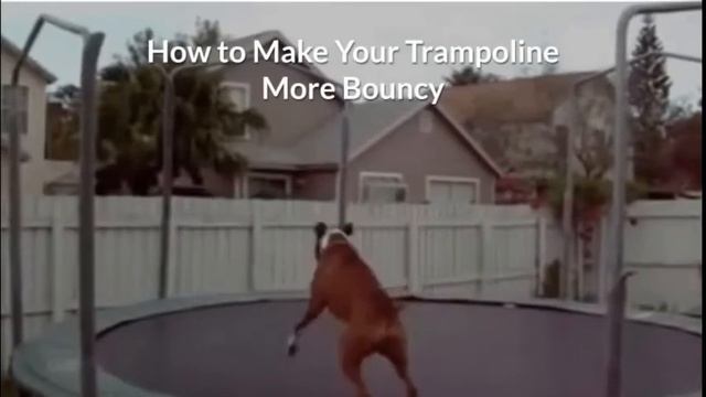 Very Bouncy Trampolines And How to Make Your Trampoline Bouncier смотреть онлайн
