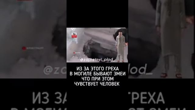 Змеи в могиле 2021 год смотреть онлайн