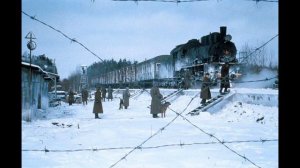 Ёлочки-иголочки.