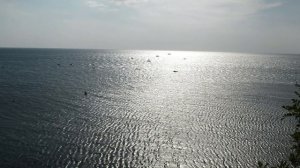 5. Леонид Лещинский