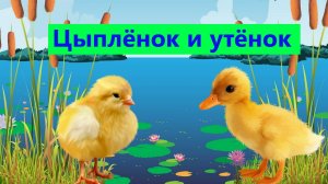 ЦЫПЛЁНОК И УТЁНОК / АУДИОСКАЗКА