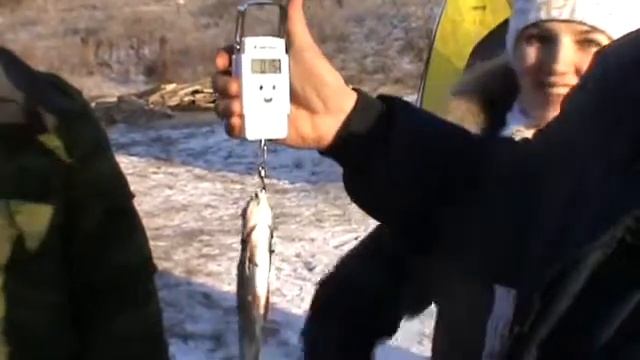 Чемпионат Рязанской области по подводной охоте 25 смотреть онлайн