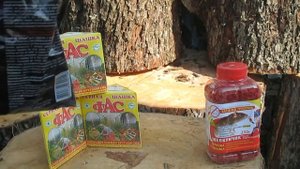 Борьба с восковой молью мышами в сотохранилище