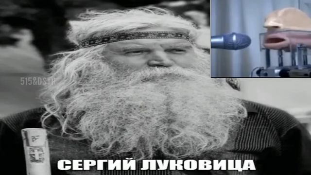 Обзор на Виктора Корнеплода и его родичей смотреть онлайн