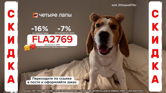 ✨ Скидка / Четыре Лапы / Порадуйте своего питомца / Заказывайте по ссылке в описании