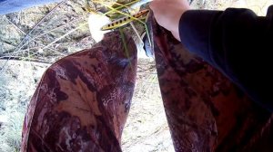 Копия RUDRA 130SP от BearKing разловлена ! Трофейная щука на 5 кг !