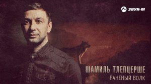 Шамиль Тлепцерше - Раненый волк | Премьера трека 2022